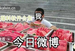 吃瓜爆料视频合集大全最新,吃瓜爆料视频合集，揭秘娱乐圈幕后真相