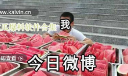 吃瓜爆料视频合集大全最新,吃瓜爆料视频合集，揭秘娱乐圈幕后真相