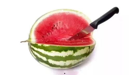 娱乐吃瓜酱属于什么领域,揭秘娱乐圈幕后故事与热点事件